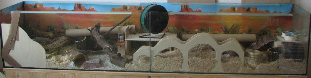 zwei Aquarien verbinden Aquarium Hamsterkäfig Zwerghamster