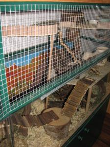 Aquarium mit Aufbau für Mäuse rechte Seite, Mäusekäfig
